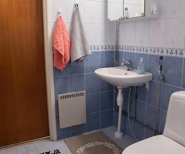 Omakotitalo Keskustan Laehellae アパート